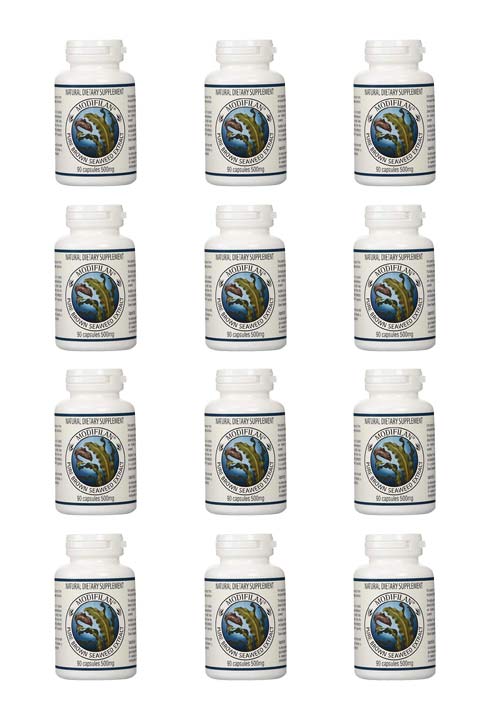 Modifilan 12 pack